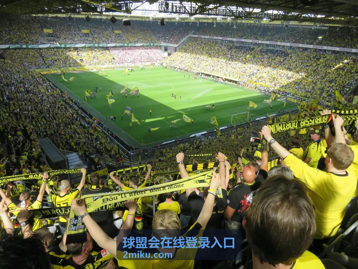 球盟会往期回放入口-季后赛热门话题解析场